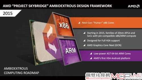 在2015 年，通过天空桥计划，AMD 将推出两款在针脚上完全兼容，均采用20nm 工艺生产的64bit ARM 处理器与x86 处理器。